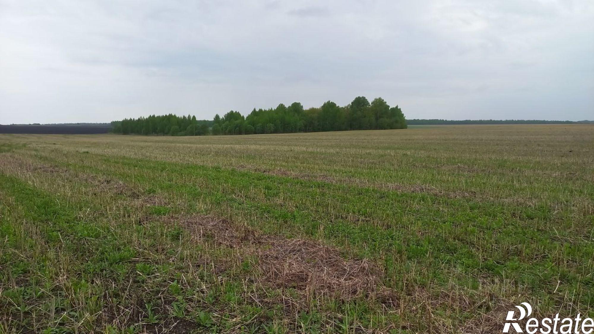 Купить землю, земельный участок за 15 000 000 рублей