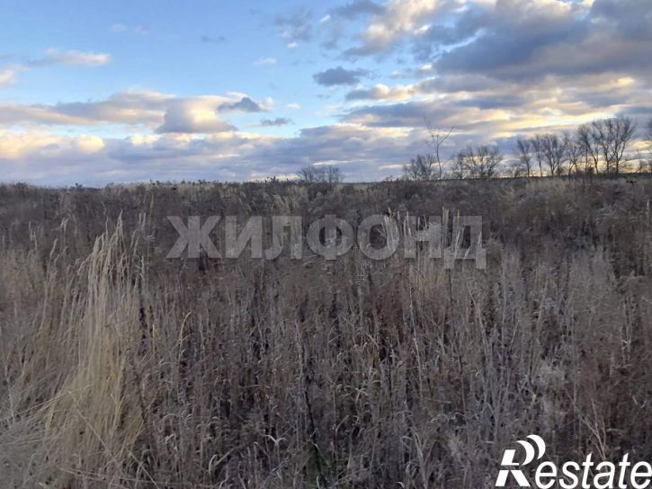 Земельный участок Лучистая улица
